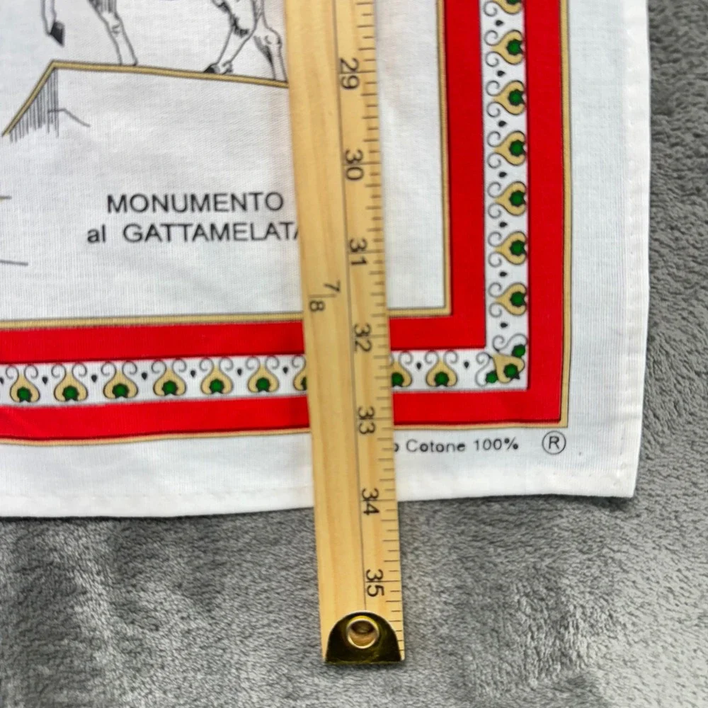 Padova Italy Souvenir Tea Towel‎ 100% Cotton Italian Landmarks Travel
